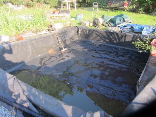 Comment Filtrer un bassin de Jardin ?